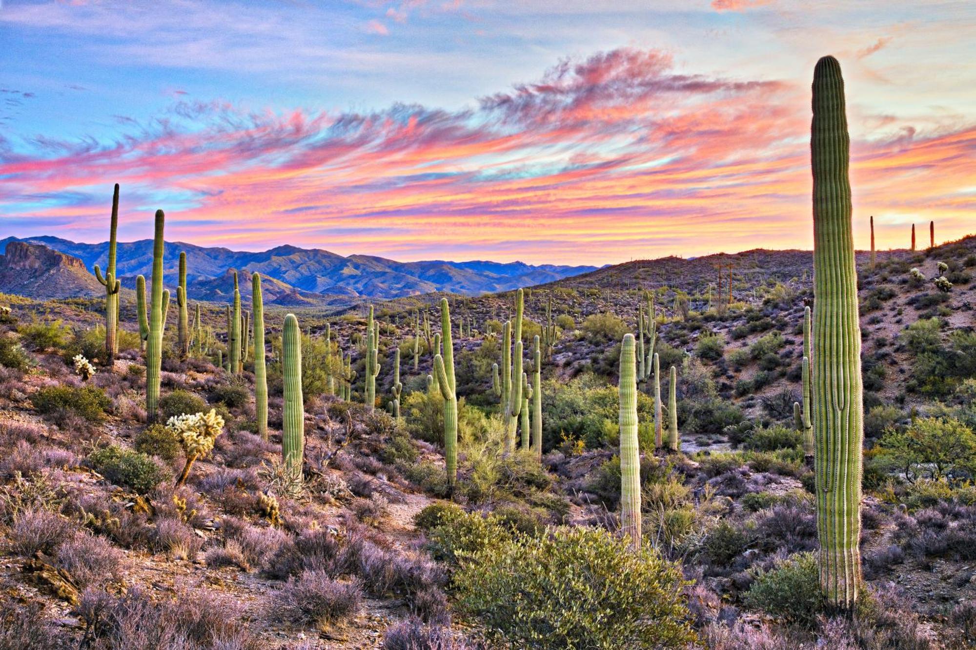 Clubgate Villa & Kierland Escape Scottsdale Pokój zdjęcie